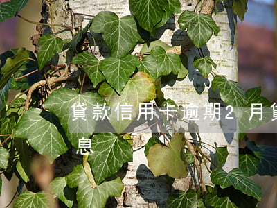 貸款信用卡逾期2月 貸款信用卡逾期2月利息