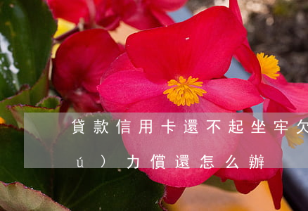 貸款信用卡還不起坐牢(欠信用卡貸款無(wú)力償還怎么辦)