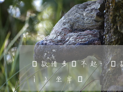 貸款借多還不起-貸款太多還不上會(huì)坐牢嗎