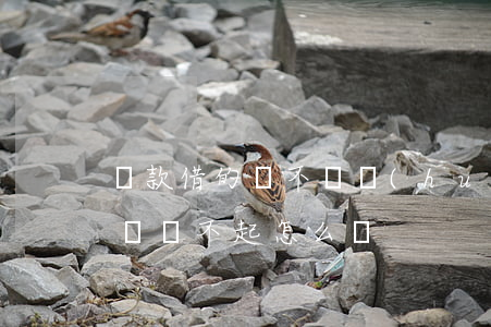 貸款借的錢不還會(huì)怎么樣（貸款借錢還不起怎么辦）
