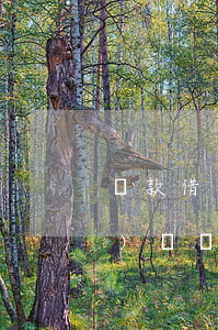 貸款借錢(qián)還不上（錢(qián)鉆貸款還不起）