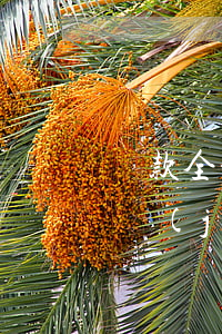 貸款全部還完后逾期記錄(有逾期記錄,但是已經(jīng)全部還清還能貸款嗎?)