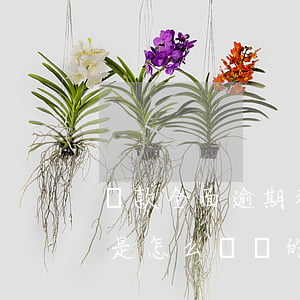 貸款全面逾期和部分逾期(貸款全面逾期你們是怎么過來的)