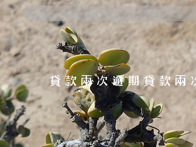貸款兩次逾期(貸款兩次逾期影響征信嗎)