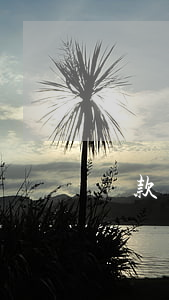 貸款兩萬逾期七年(貸款逾期一年)