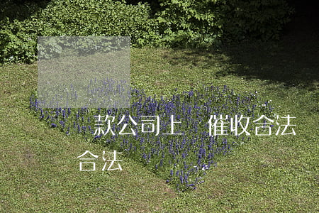貸款公司上門催收合法嗎(貸款公司上門催收合法嗎)