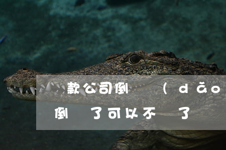 貸款公司倒閉導(dǎo)致逾期(貸款公司倒閉了可以不還了嗎)