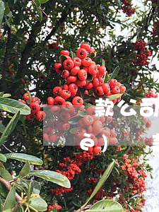 貸款公司借款導(dǎo)致逾期(企業(yè)貸款逾期后果是什么)