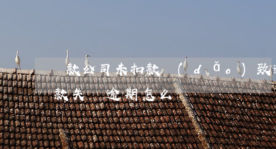 貸款公司未扣款導(dǎo)致逾期(貸款扣款失敗逾期怎么辦)