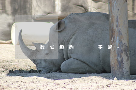 貸款公司的錢還不起-貸款公司的錢還不起