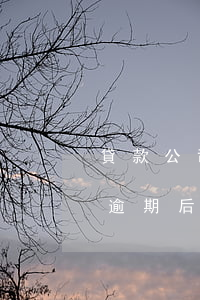 貸款公司逾期后到處打電話罵人-貸款公司逾期后到處打電話罵人怎么辦