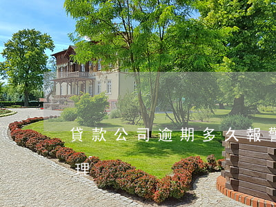 貸款公司逾期多久報警(公司貸款逾期怎么處理)