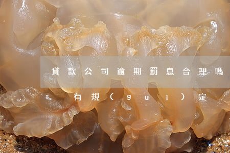 貸款公司逾期罰息合理嗎(貸款逾期了罰息有沒有規(guī)定)