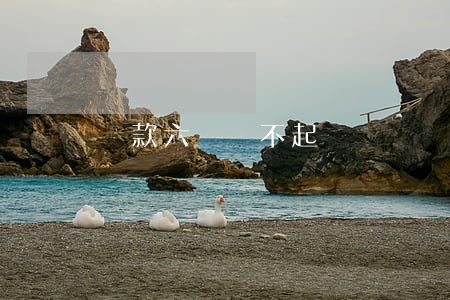 貸款六萬還不起