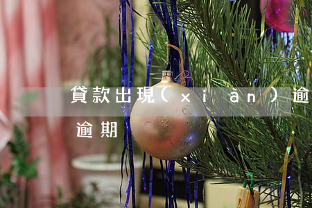 貸款出現(xiàn)逾期的征兆(貸款嚴重逾期)