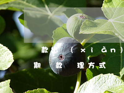 貸款出現(xiàn)逾期處置辦法(銀行逾期貸款處理方式)