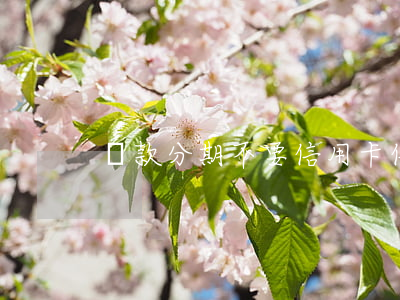貸款分期 不要信用卡(信用卡千萬別分期)