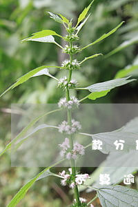貸款分期逾期費(fèi)怎么算的(分期算不算逾期)