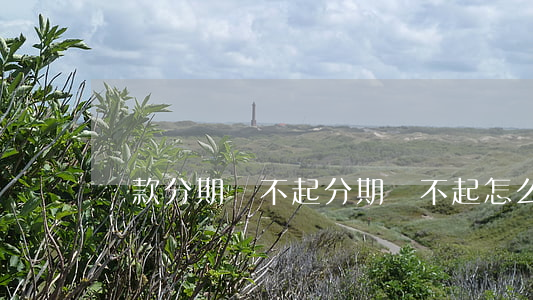 貸款分期還不起(分期還不起怎么辦)