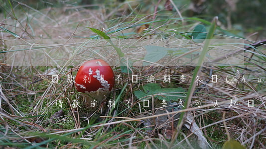 貸款利息不還逾期多久會(huì)被起訴（借款逾期不還多久可以起訴）