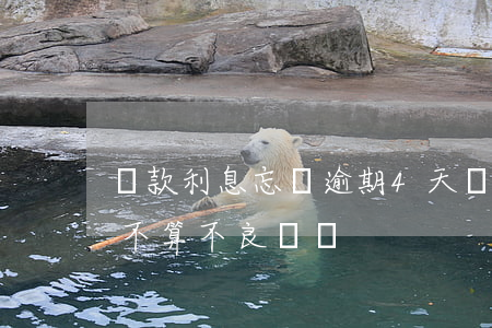 貸款利息忘記逾期4天(貸款利息逾期5天算不算不良記錄)