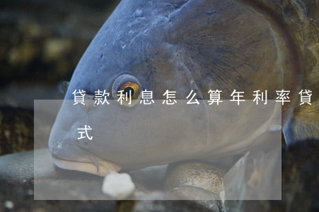 貸款利息怎么算年利率(貸款怎么算年利息公式)