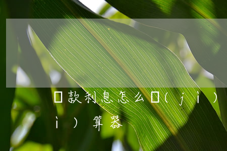 貸款利息怎么計(jì)算(貸款利息計(jì)算器)