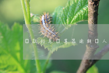 貸款利息計算器逾期(個人貸款逾期計算器)