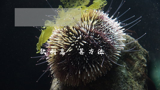 貸款利息計算方法