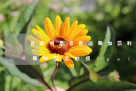 貸款利息貸款逾期加罰利息是多少-貸款逾期加罰息的規(guī)定