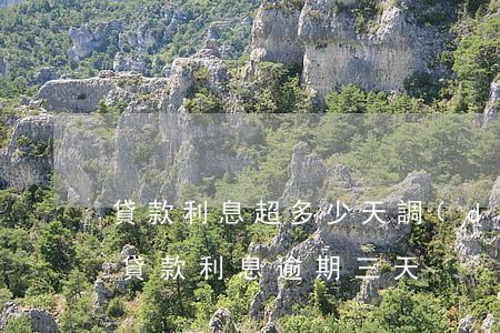貸款利息超多少天調(diào)逾期(銀行貸款利息逾期三天)