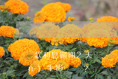 貸款利息逾期2天，會對個人征信產(chǎn)生影響嗎？