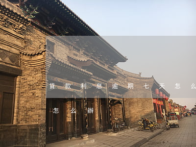 貸款利息逾期七天怎么辦(貸款利息逾期七天怎么辦)