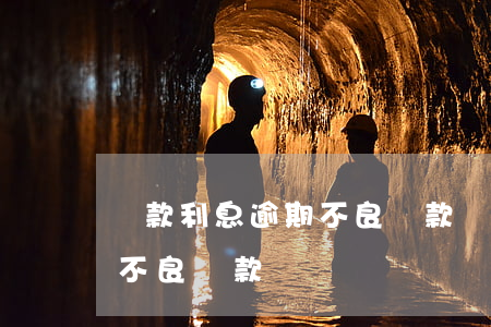 貸款利息逾期不良貸款(銀行貸款逾期多久算不良貸款)