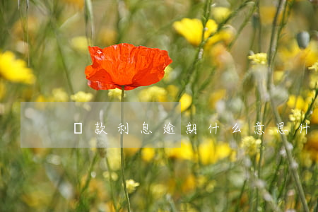 貸款利息逾期什么意思(什么是貸款逾期)