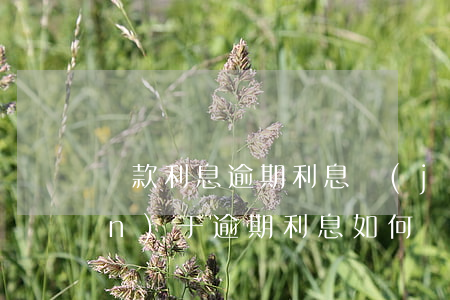 貸款利息逾期利息計(jì)算（關(guān)于逾期利息如何計(jì)算的批復(fù)）