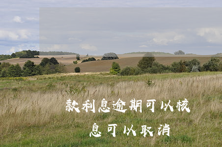 貸款利息逾期可以核銷嗎(貸款逾期三年被起訴,罰息可以取消嗎)