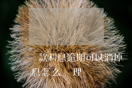 貸款利息逾期可以消掉嗎(逾期貸款核銷后,利息怎么處理)