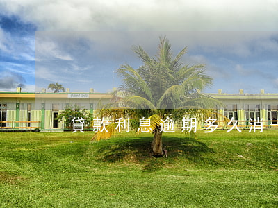 貸款利息逾期多久消-貸款利息逾期多久消