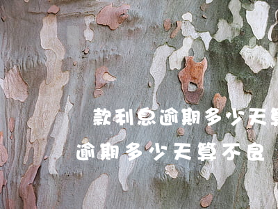 貸款利息逾期多少天算不良貸款-貸款利息逾期多少天算不良貸款行為