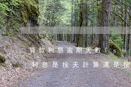貸款利息逾期天數(shù)計算(貸款逾期利息是按天計算還是按月計算)