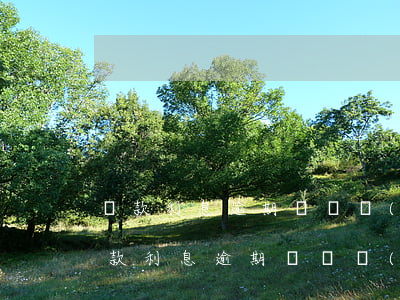 貸款利息逾期幾塊錢(qián)怎么算（貸款利息逾期幾塊錢(qián)）