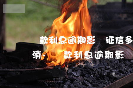 貸款利息逾期影響征信多久會(huì)取消-貸款利息逾期影響征信多久會(huì)取消記錄