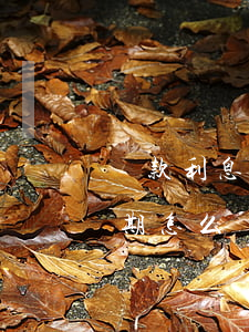 貸款利息逾期怎么解決(貸款發(fā)生逾期,怎么處理)