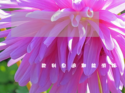 貸款利息逾期能消除嗎