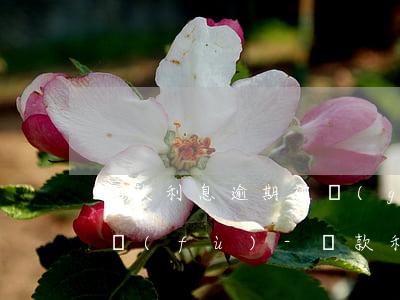 貸款利息逾期被關(guān)注多久能恢復(fù)-貸款利息逾期被關(guān)注多久能恢復(fù)正常