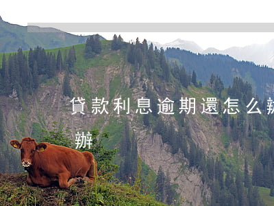 貸款利息逾期還怎么辦(借的貸款逾期了怎么辦)