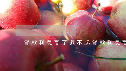 貸款利息高了還不起(貸款利息高可以追回嗎)