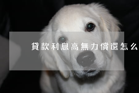 貸款利息高無力償還怎么辦(貸款利息太高了)
