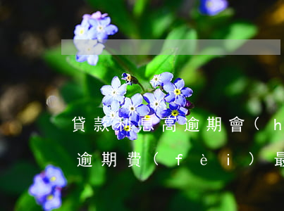 貸款利息高逾期會(huì)怎么樣(高利貸逾期費(fèi)最高不超過(guò)多少)